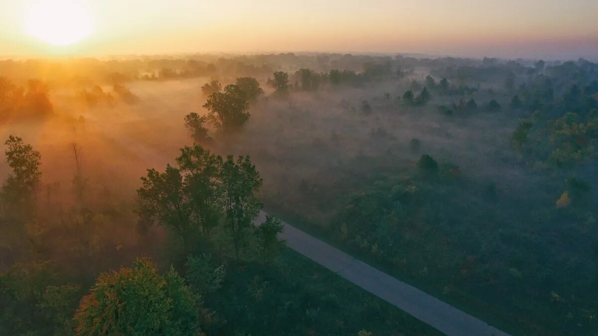 Осеннее равноденствие наступает в сентября. Фото: Pxfuel.com