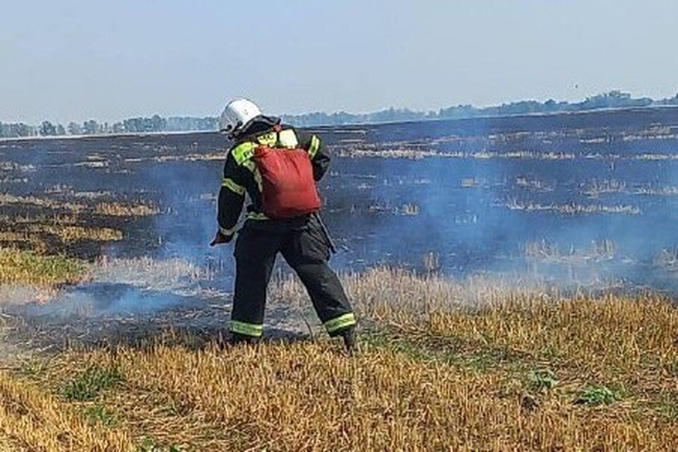     Под Липецком в выходные горели поля  Пресс-служба ГУ МЧС Липецкой области.