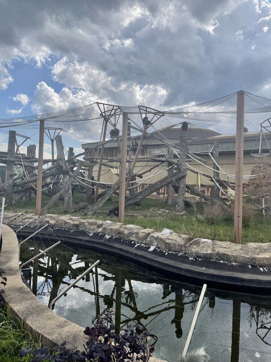                                                                   Вольер приматов