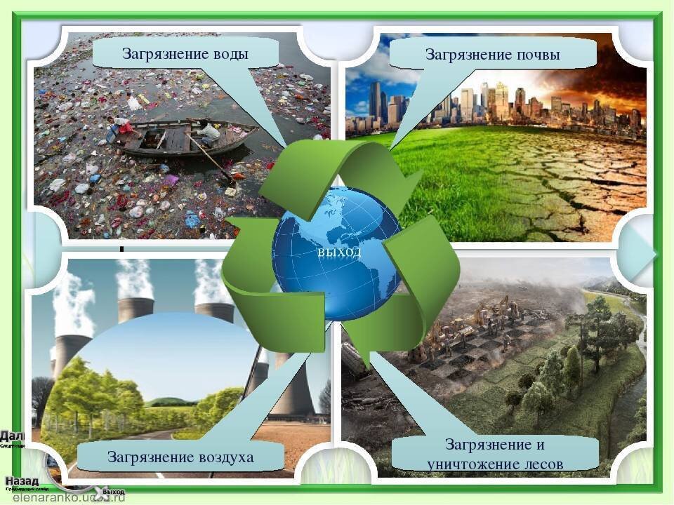 Проект на тему загрязнение воды и почвы