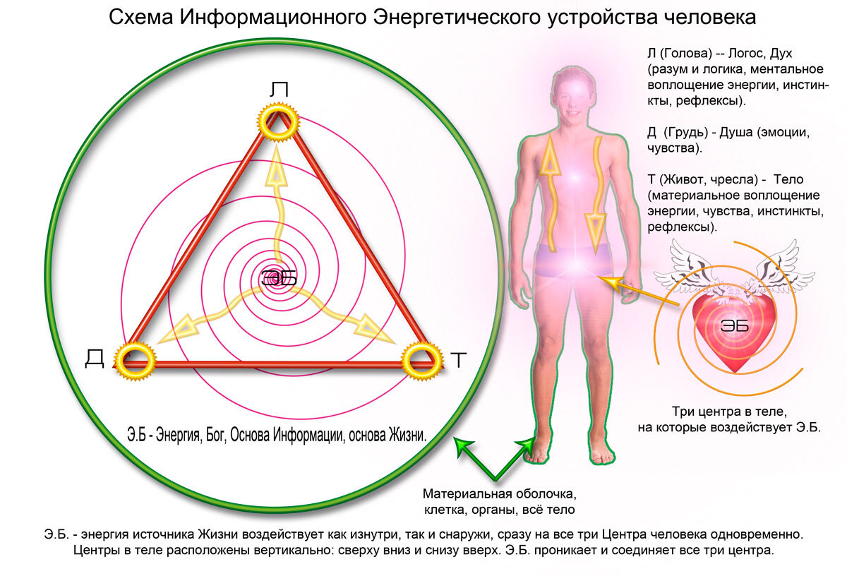 Квантовая матрица жизни: принципы, суть и применение