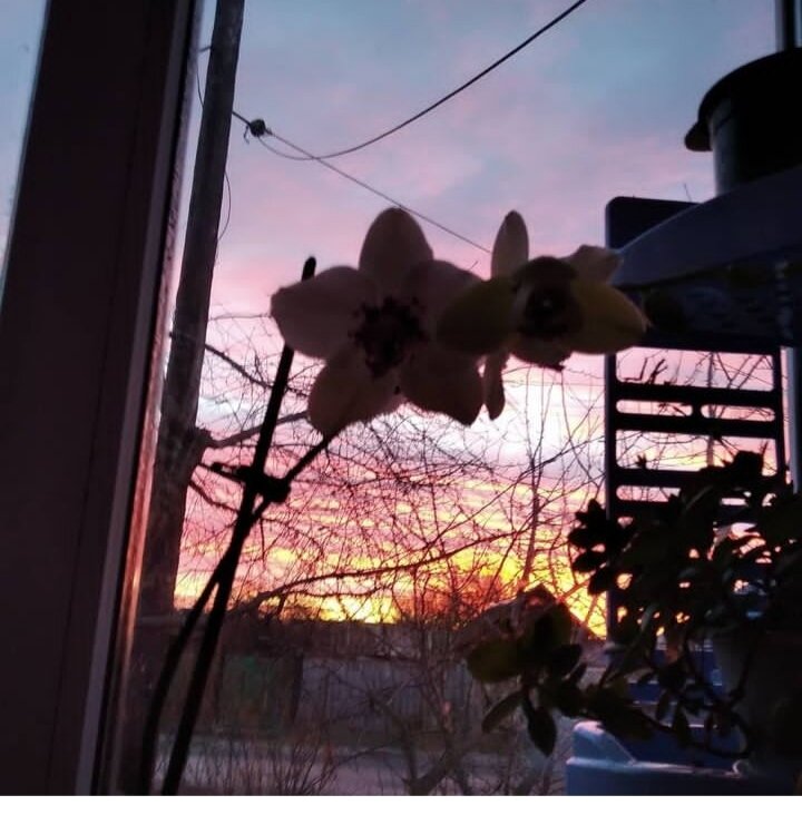 Может где то рассвет все таки есть.