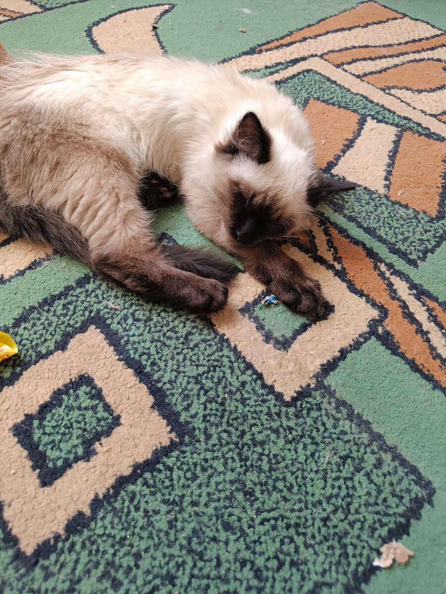 Непривычное состояние 