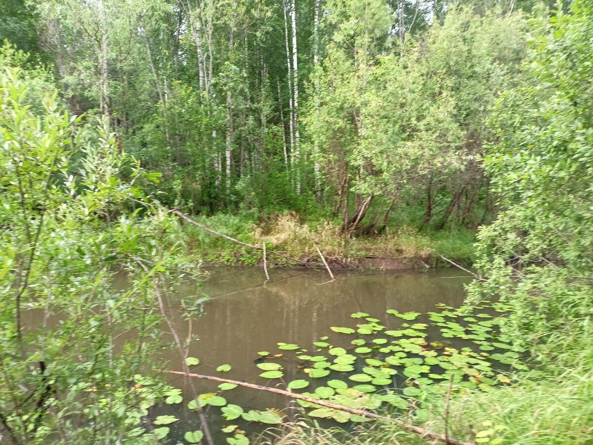 Такие вот места.