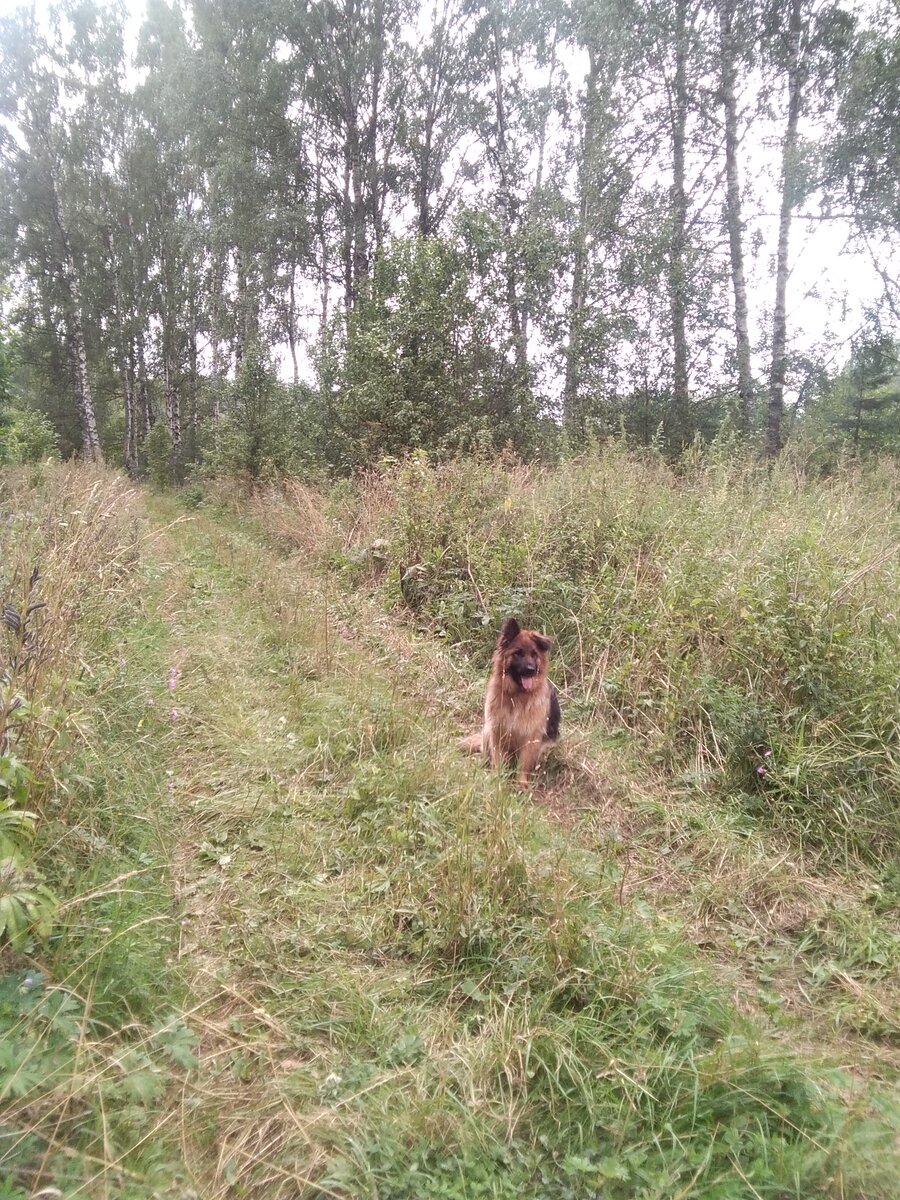 Фото автора. 