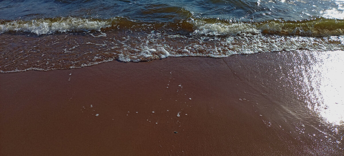 Песок Финского залива