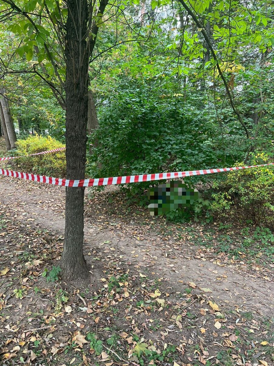 На улице Молдавская в Москве, рядом с жилым домом, было обнаружено тело женщины с травмой головы, что указывает на признаки насильственной смерти.

Трагическую находку сделал случайный прохожий, который в то время гулял со своей собакой, и сразу же обратился в правоохранительные органы.

Ведущую работу на месте происшествия координирует Ирина Хархавкина, заместитель прокурора Кунцевского межрайонного округа.

Кунцевская межрайонная прокуратура активно следит за процессом расследования, принятием соответствующих решений о возбуждении уголовного дела и выяснением личности преступника.