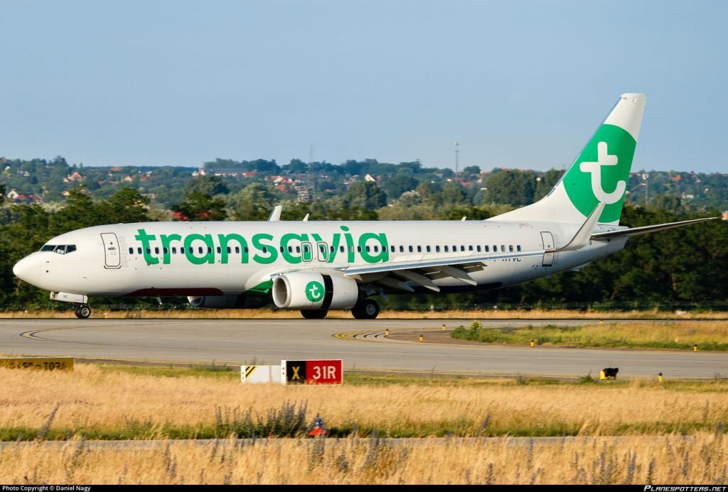 На Boeing 737-8K2WL построен современный флот авиакомпании Transavia France. Фото в аэропорту Будапешта 14 июня 2017 года