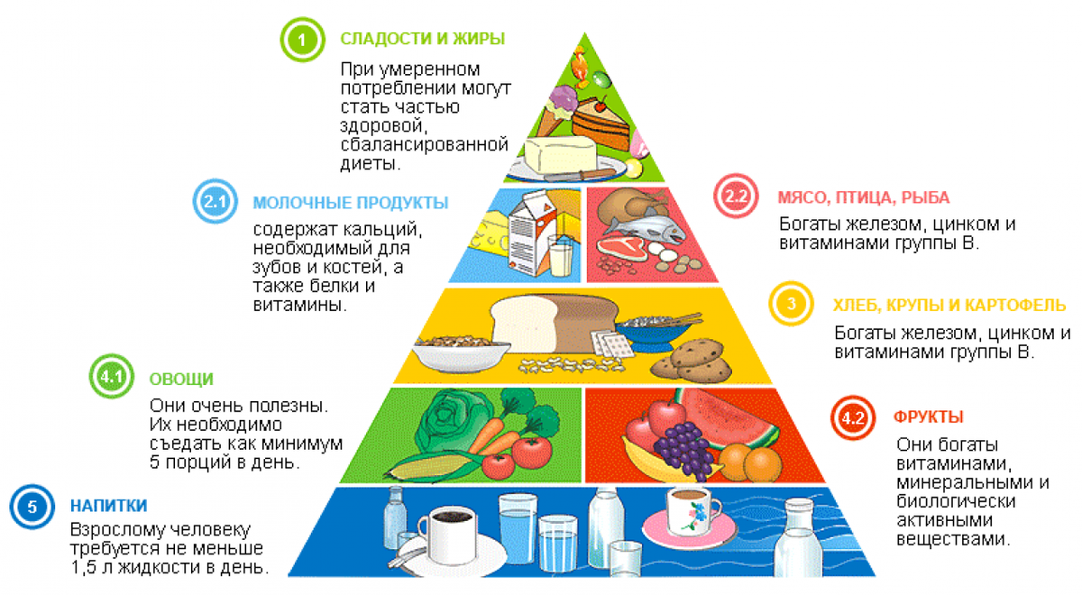 Питание для набора мышечной массы: учимся составлять рацион. | Масса 2.0 |  Дзен