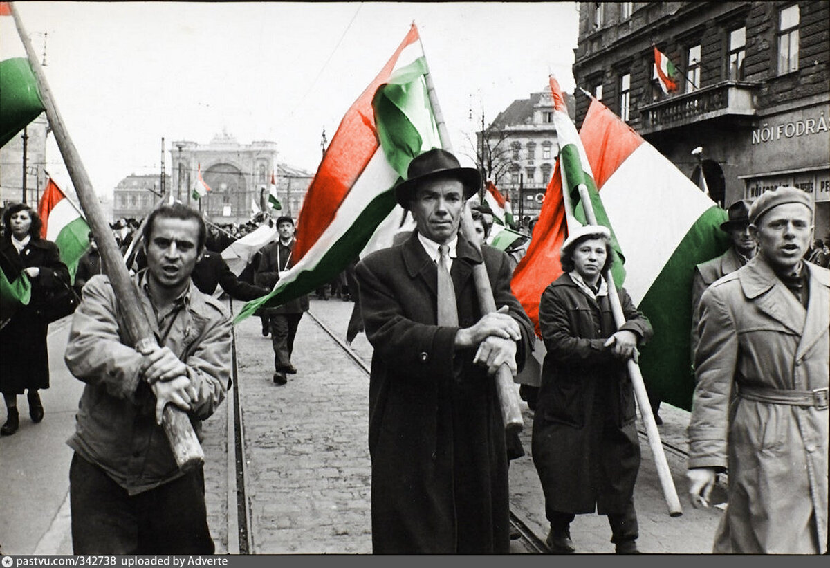 Венгерское восстание 1956 фото