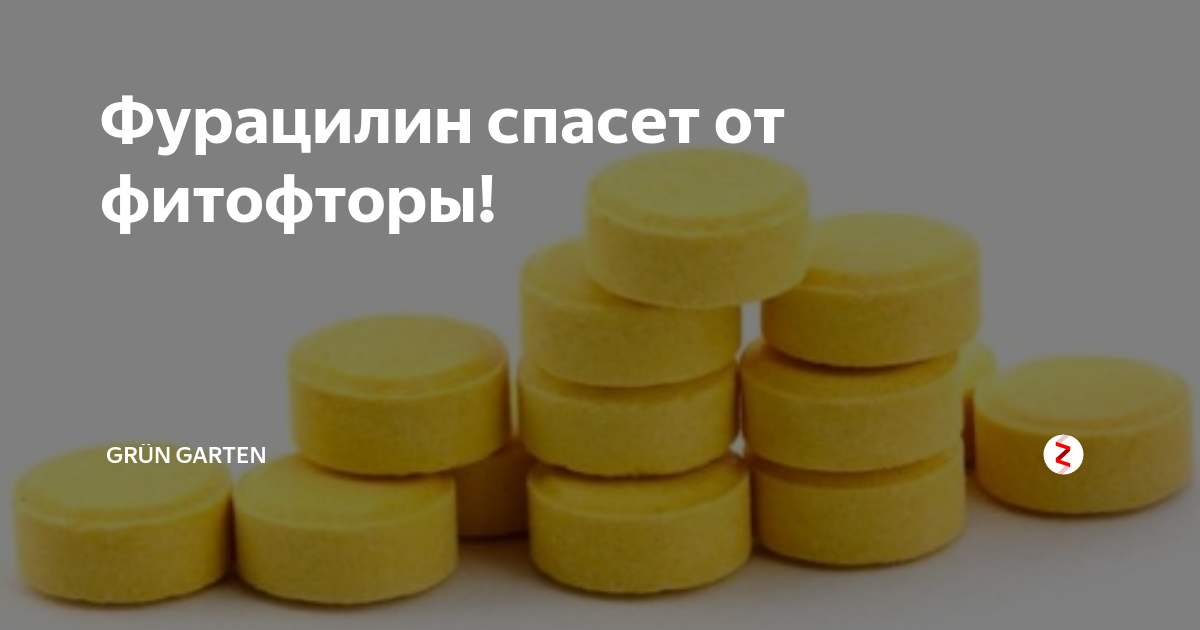 Фурацилин для томатов от фитофторы. Применение фурацилина в саду и огороде. Фурацилин в пакетах. Фурацилин для огорода применение.