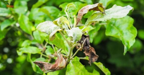  фото: pixabay.com 