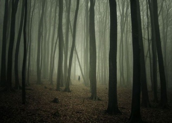 исчник фото: yandex.ru/images