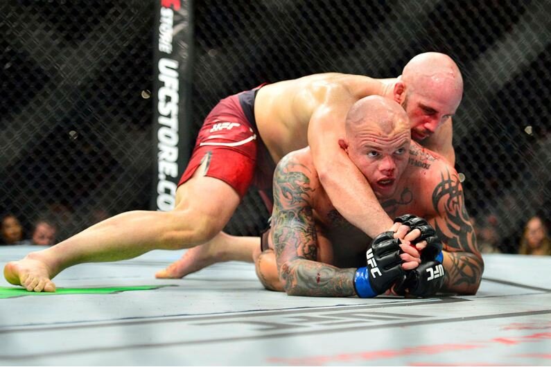 итоги юфс 280. результаты ufc. пэдди юфс. Ufc vegas 63 фото карда. результаты ufc.