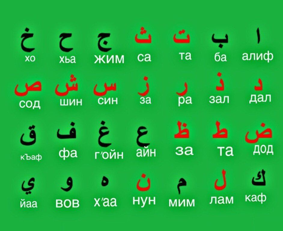 Как выучить арабский язык и с чего начать