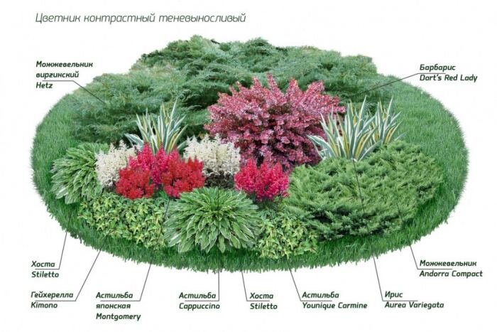 Миксбордеры в саду: секреты гармоничных композиций, готовые схемы и 71 фото