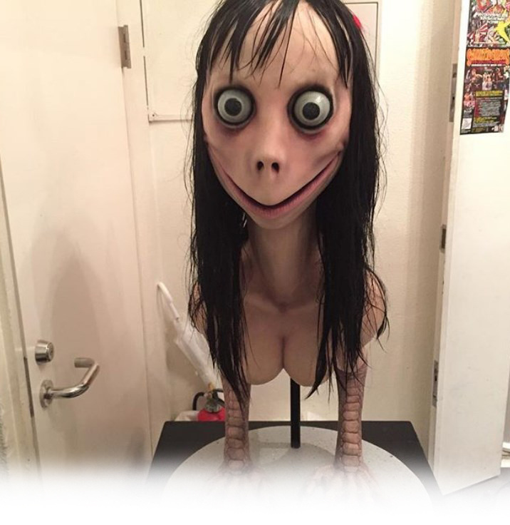 Фитограмия Момо