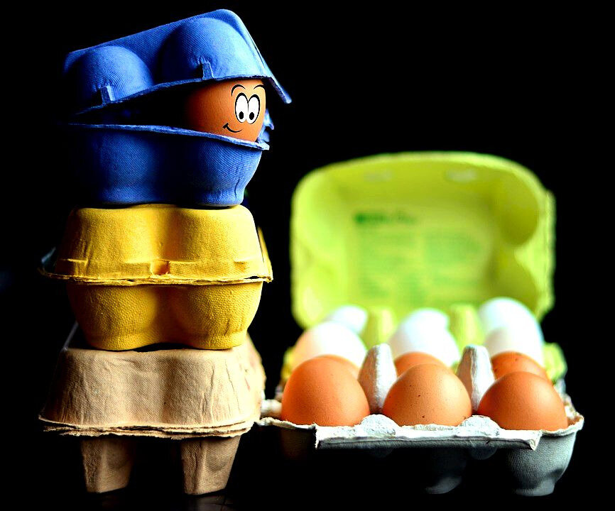 коробки от яиц