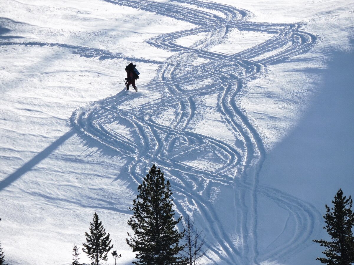 Фото: Деменев Петр