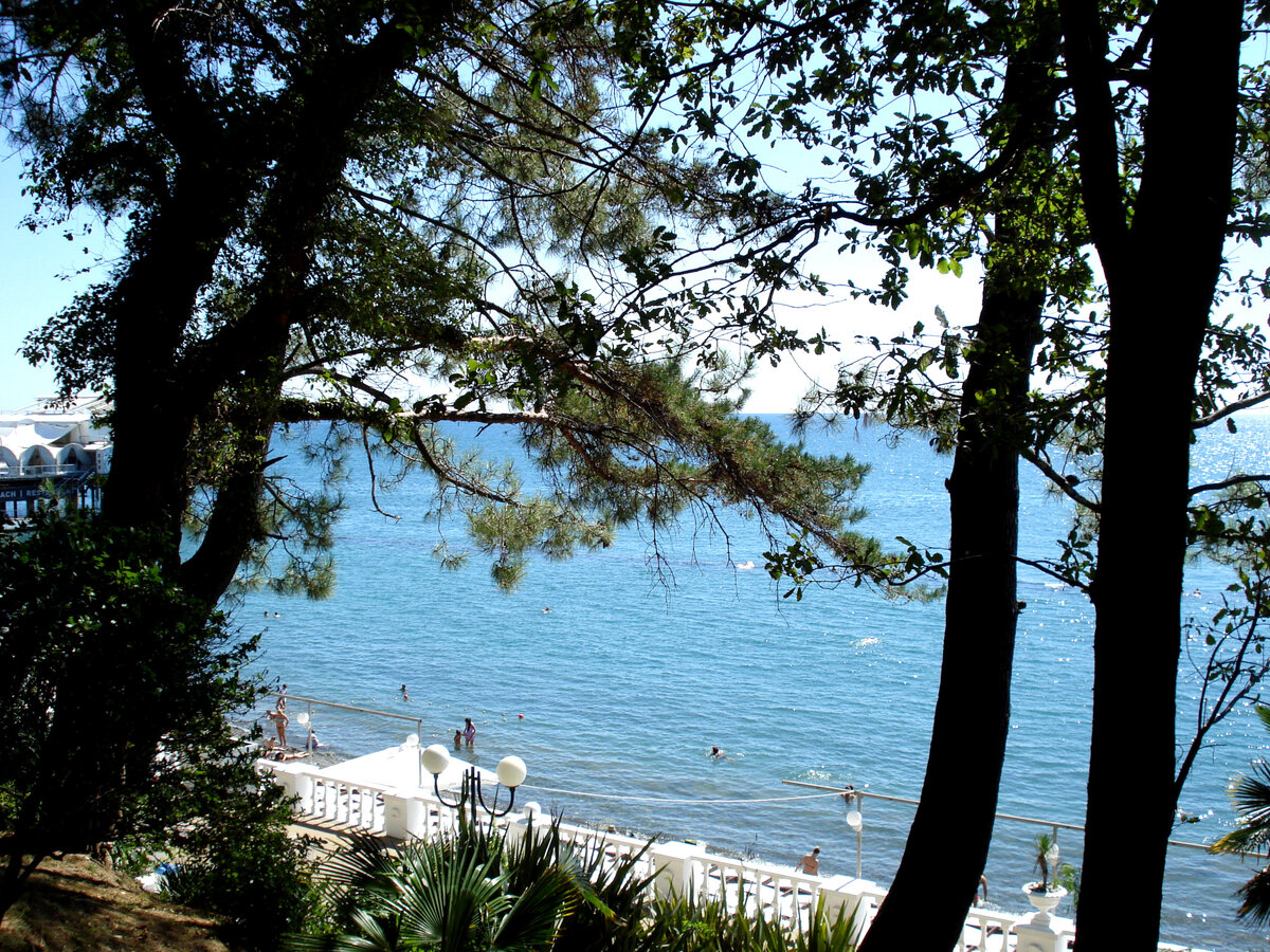 Курорт Сочи на побережье Черного моря