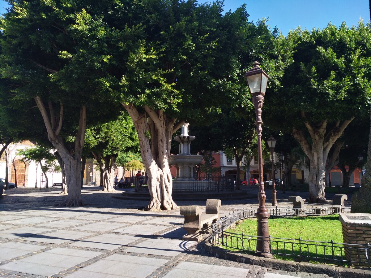 Улицы Ла Лагуны. Фото автора.