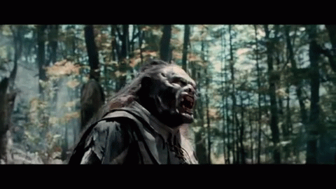 ВЛАСТЕЛИН КОЛЕЦ: БРАТСТВО КОЛЬЦА