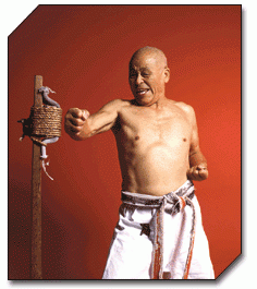 Фото: http://www.karate.com.pl/karateEN/index.php/archives/makiwara-training