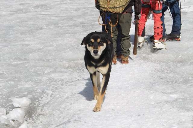 Фото: Дон Уорговски