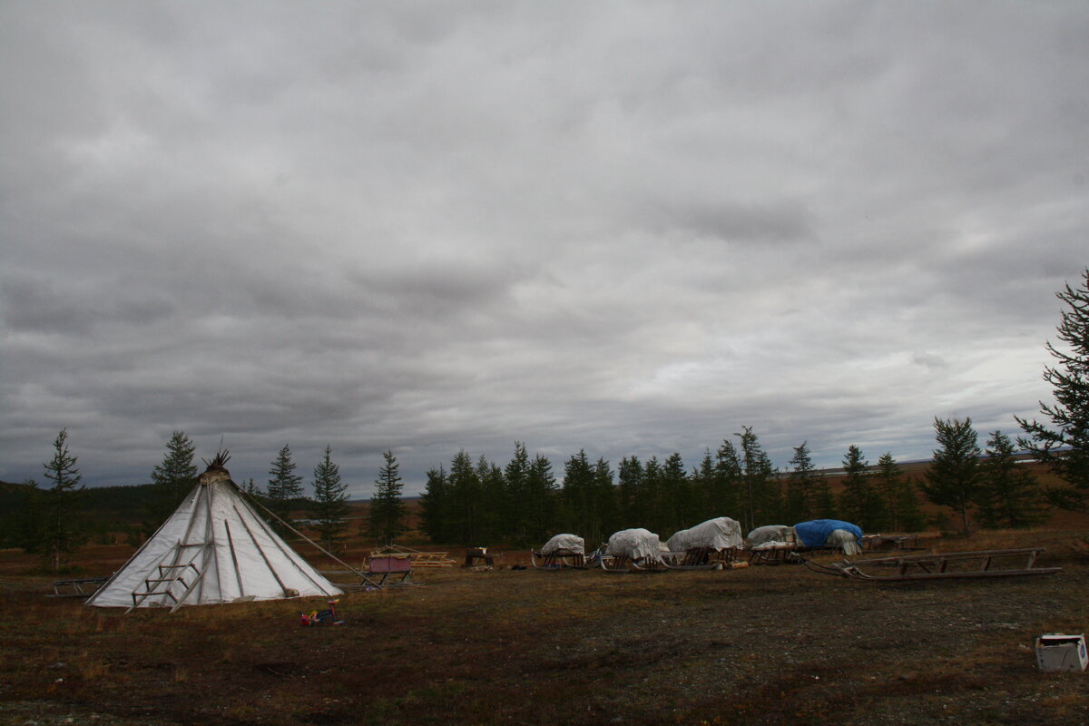 Стойбище ненцев. Полярный Урал. Фото Людмилы Липатовой