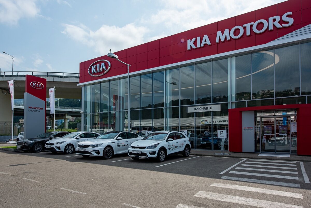 В Сочи новый дилер KIA | АвТОгус | Дзен