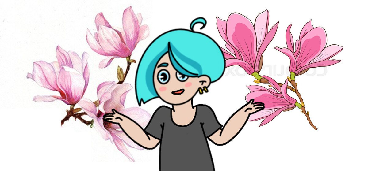 Растровая графика (слева) и Векторная графика (справа)