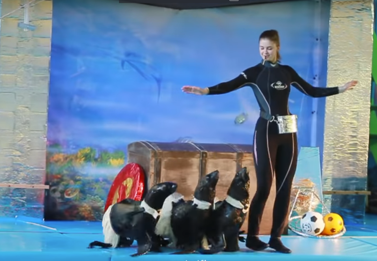 "Мы знаем, у тебя на поясе рыбка!"