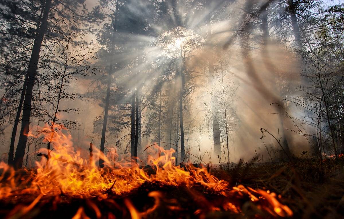 #СИБИРЬНАДОСПАСАТЬ