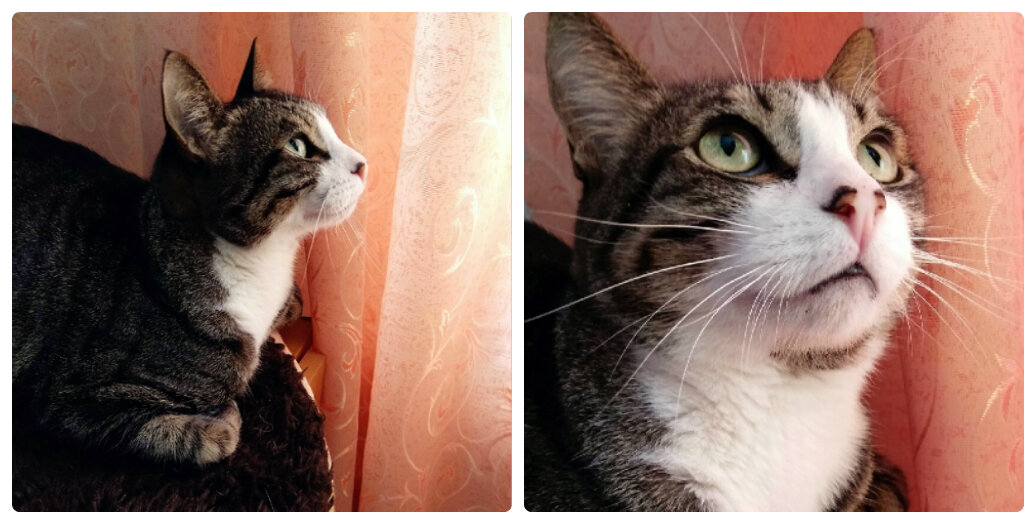 Фото канала Гид Парфюм.