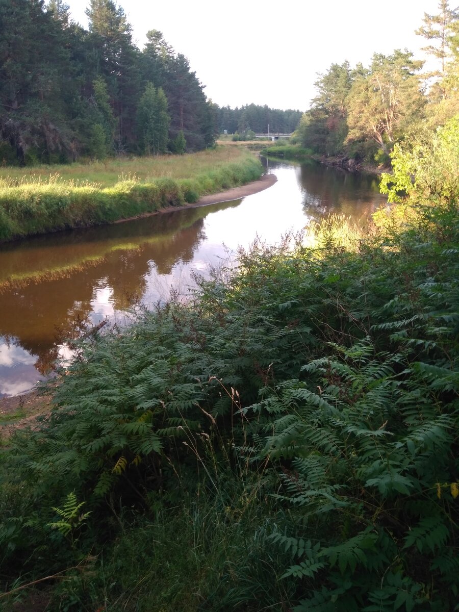 Красивое место, воспоминания из детства