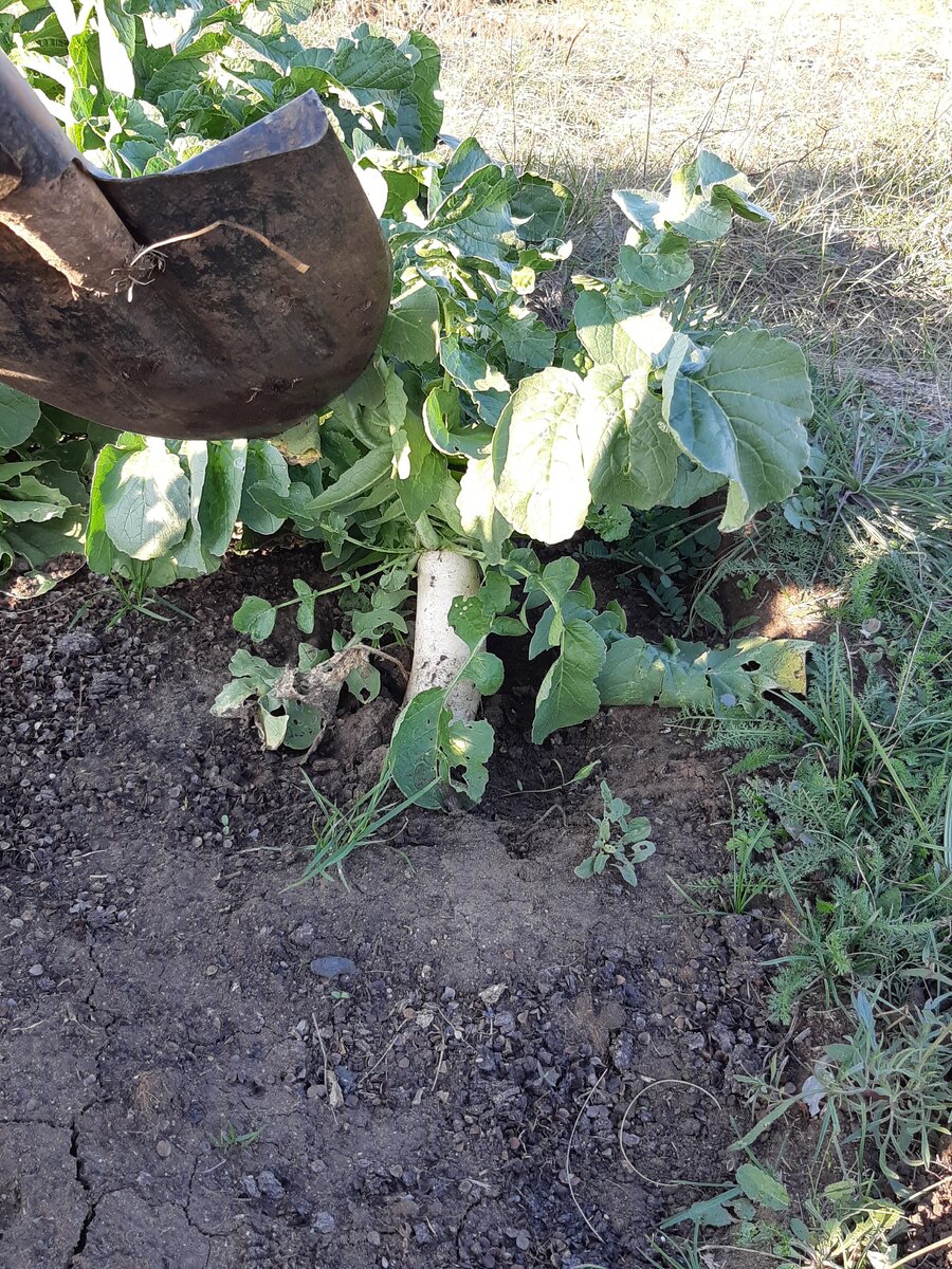 Вот такой длинный "верх" и еще 2 раза по столько вниз)))