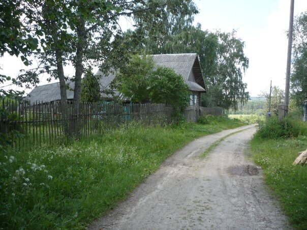 Мой дом. 2008 год