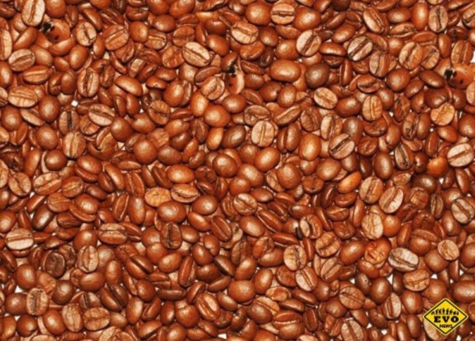 Фото взято из яндекс картинки