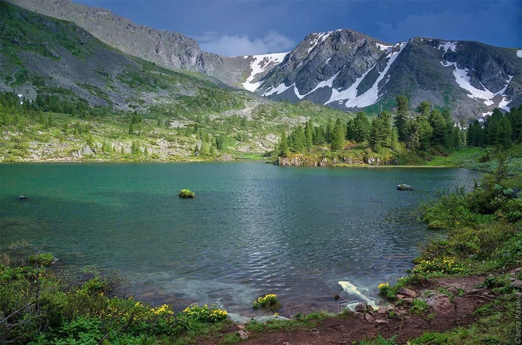 Источник Яндекс картинки 