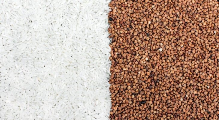 Фотоматериал: spb.msrabota.ru, svadba1000.ru, m-news.ru, blotos.ru