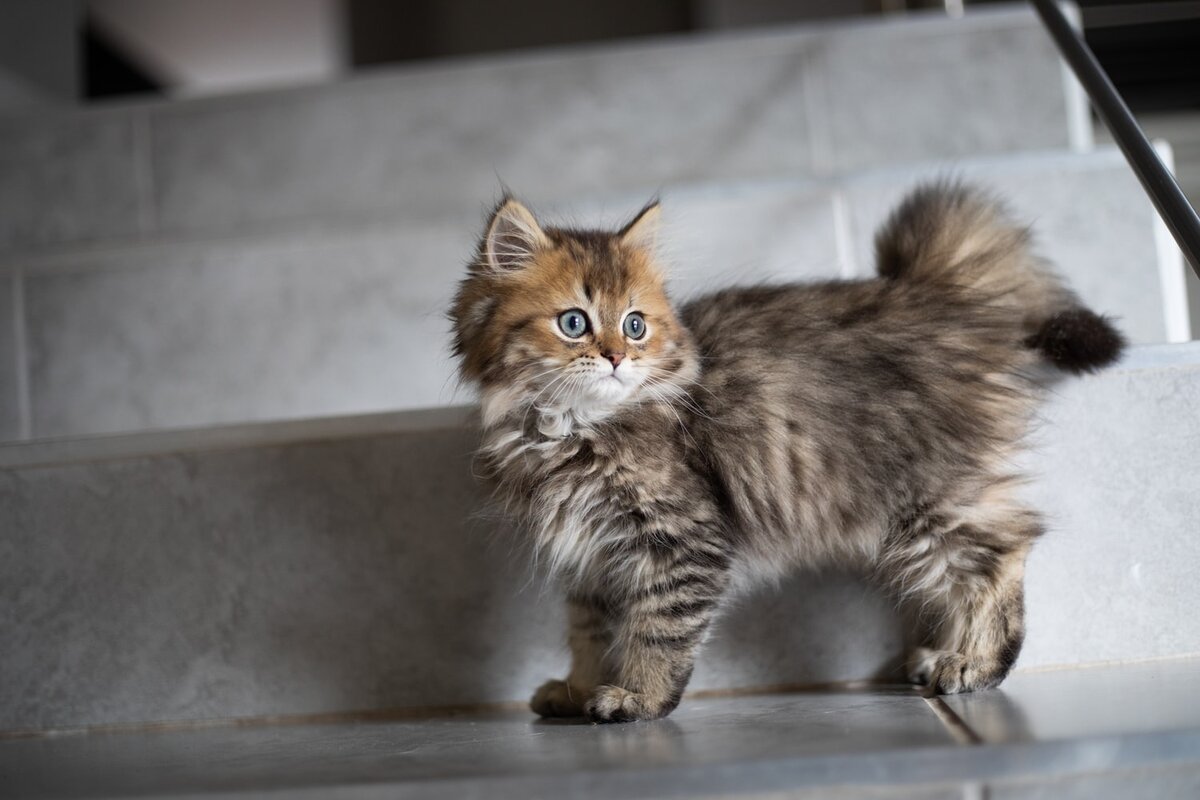 Фото из свободных источников 