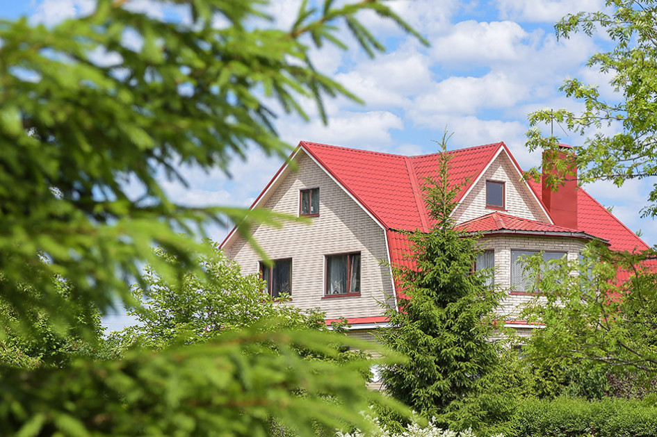 Фото: Irina N/shutterstock