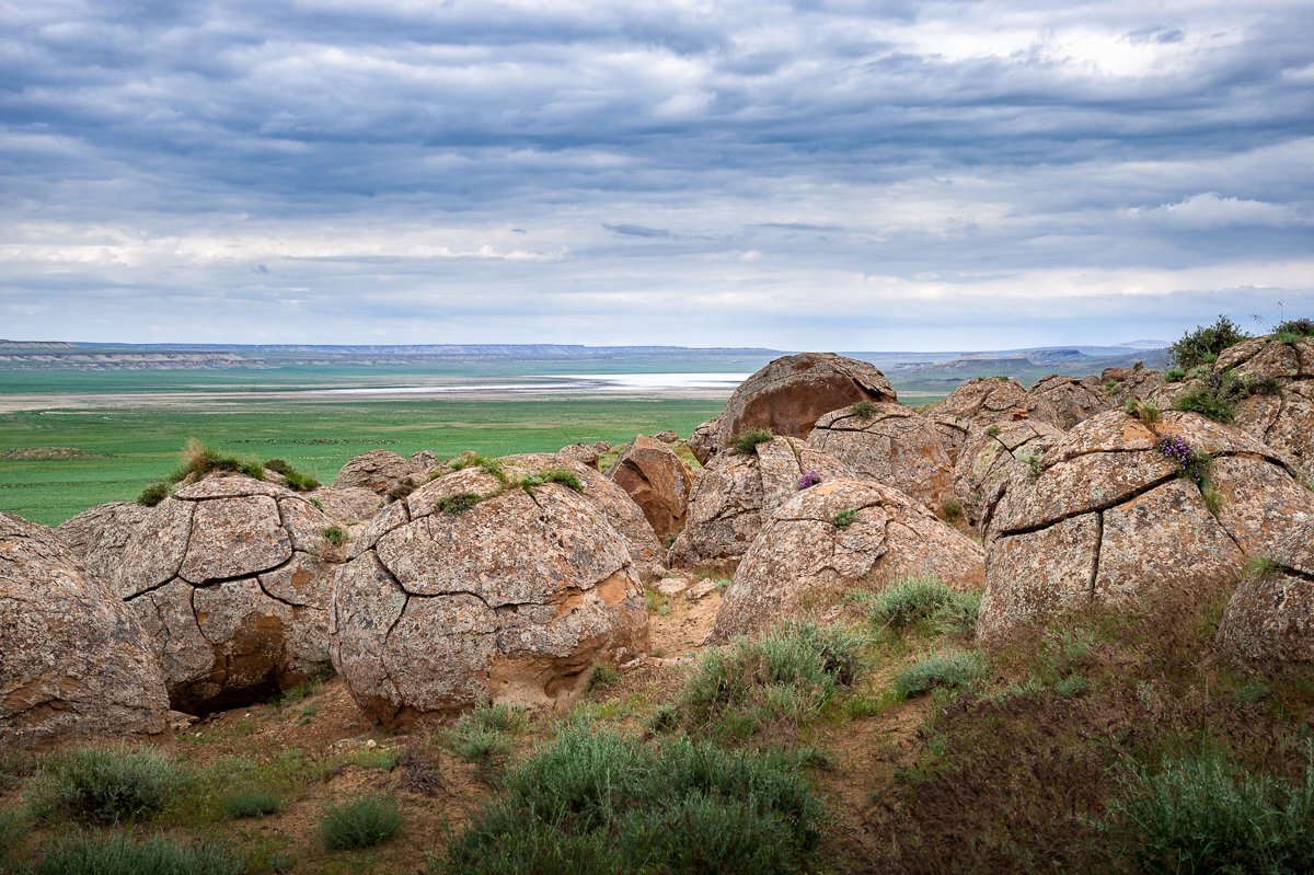 Фото: https://nat-geo.ru/photo/224422/