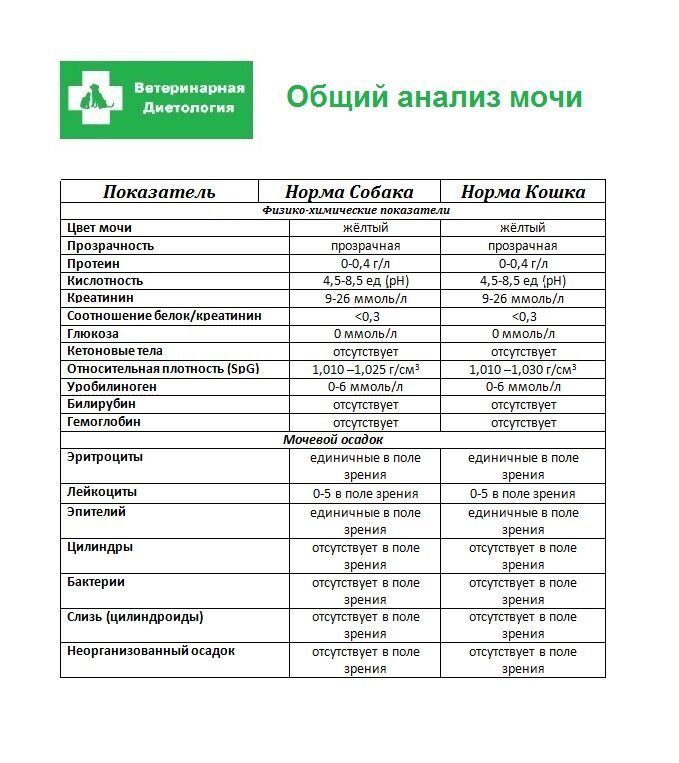 Показатели общего анализа мочи детей: норма и отклонения