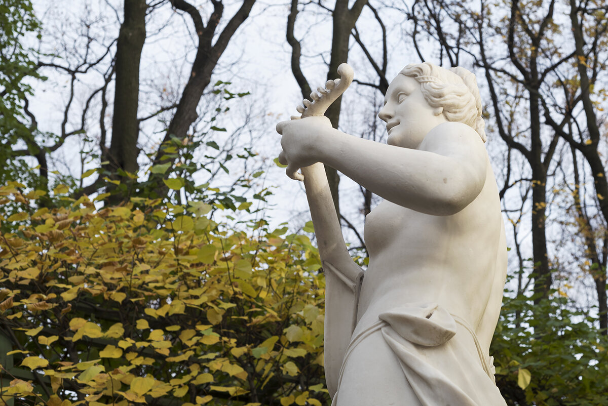 Терпсихора. Фото автора