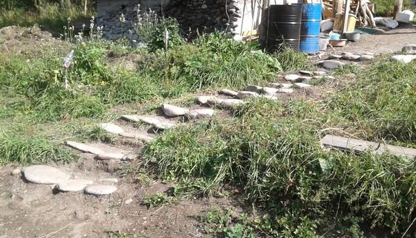 Вот такие каменные "блины" мы таскали с берега Чемалки. Жаль, что они не передвигались к нам сами, как те истуканы с острова Пасхи