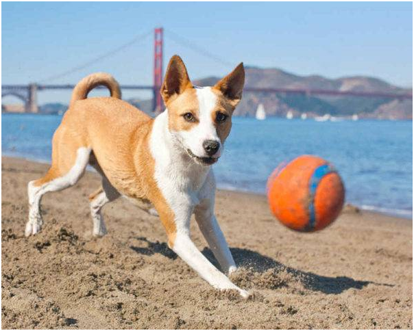  Фото с ресурсов Google.