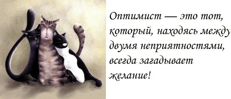 Оптимизм это. Высказывания про оптимизм. Афоризмы про оптимизм. Оптимизм смешные высказывания. Цитаты оптимиста