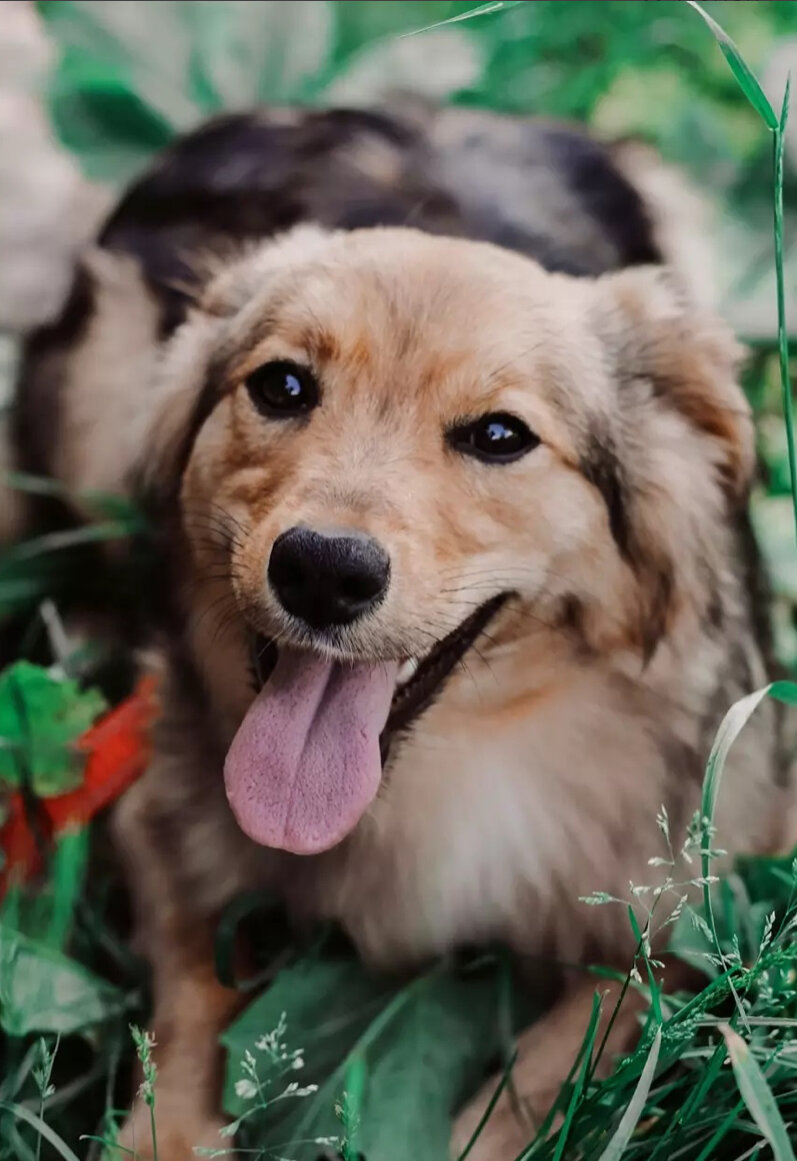 Фото из архива фонда