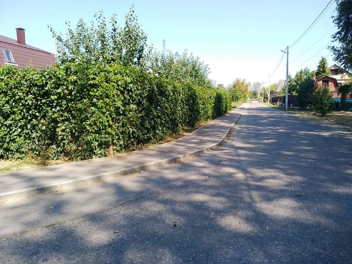 Приём в ландшафтном дизайне — вертикальное озеленение